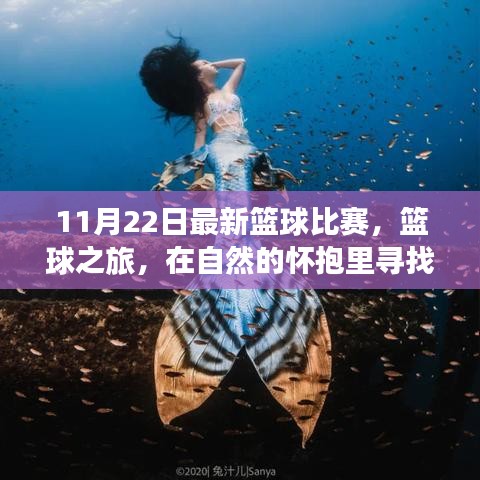 篮球之旅，自然怀抱中的激情与内心平静交汇的时刻（11月22日最新篮球比赛）