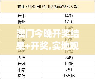 澳门今晚开奖结果+开奖,实地观察解释定义_个人版WSI1.69