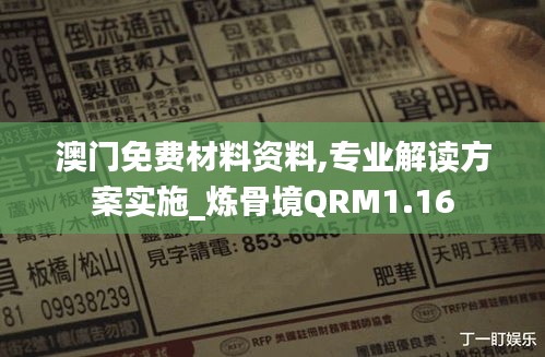 澳门免费材料资料,专业解读方案实施_炼骨境QRM1.16