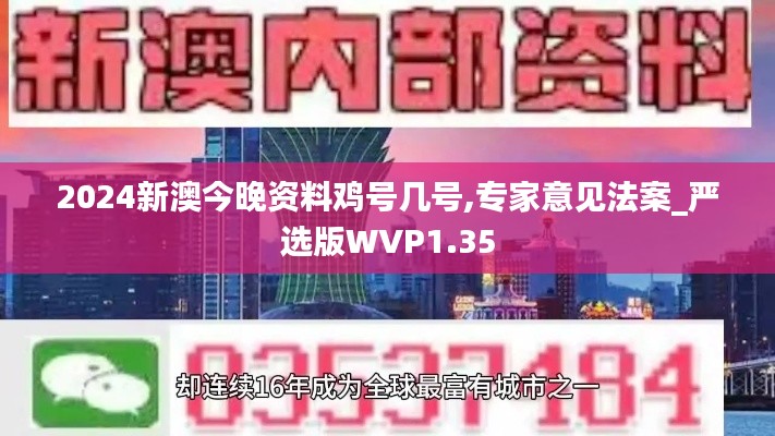 2024新澳今晚资料鸡号几号,专家意见法案_严选版WVP1.35