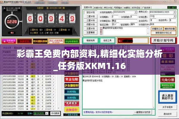 彩霸王免费内部资料,精细化实施分析_任务版XKM1.16