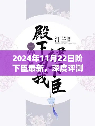 独家解析，2024年新品阶下臣全面深度评测