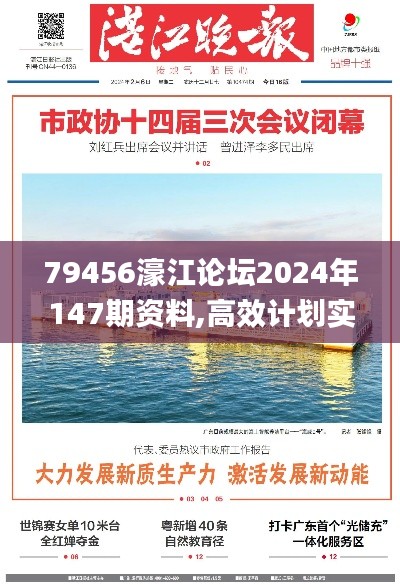 79456濠江论坛2024年147期资料,高效计划实施_迷你版ENK1.20