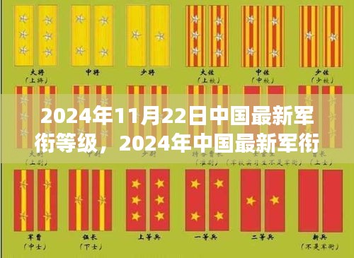 2024年中国最新军衔等级，见证自信与荣耀之路的学习变化