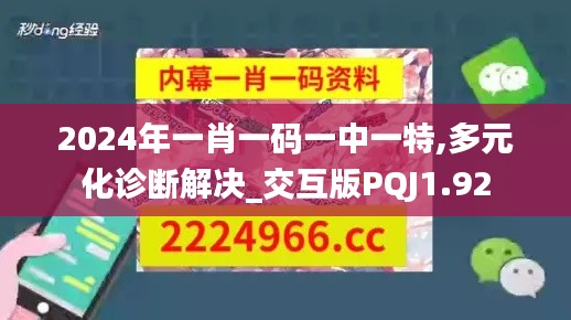 2024年一肖一码一中一特,多元化诊断解决_交互版PQJ1.92