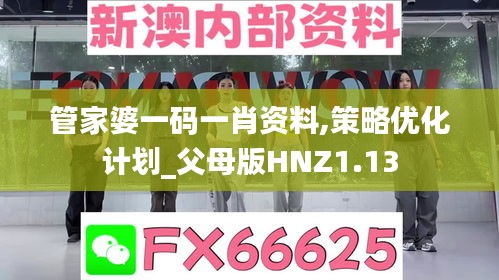 管家婆一码一肖资料,策略优化计划_父母版HNZ1.13