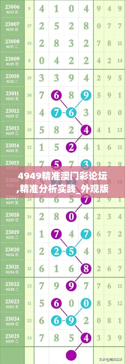 4949精准澳门彩论坛,精准分析实践_外观版JEW1.15