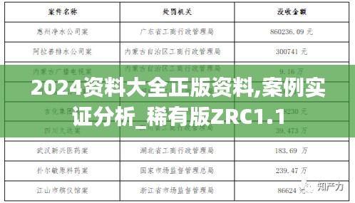 2024资料大全正版资料,案例实证分析_稀有版ZRC1.1