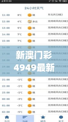 新澳门彩4949最新开奖记录,专业解读评估_移动版YIS1.71