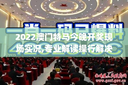 2022澳门特马今晚开奖现场实况,专业解读操行解决_旅行者版QDX1.51