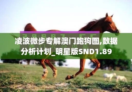 凌波微步专解澳门跑狗图,数据分析计划_明星版SND1.89