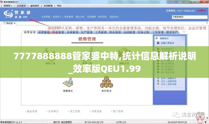 7777888888管家婆中特,统计信息解析说明_效率版QEU1.99