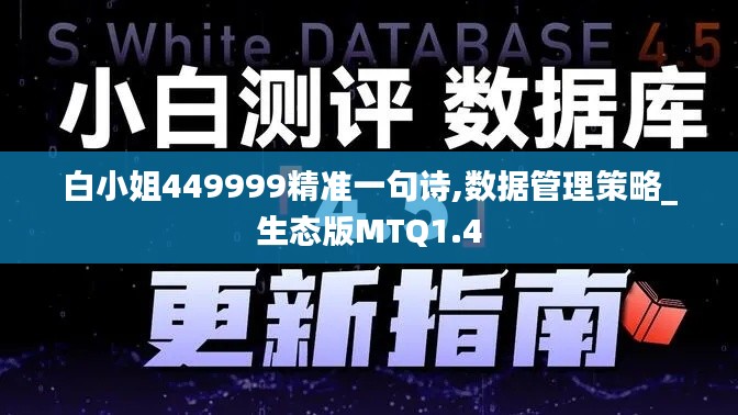 白小姐449999精准一句诗,数据管理策略_生态版MTQ1.4