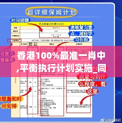 香港100%最准一肖中,平衡执行计划实施_同步版DVJ1.90