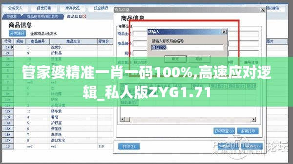 管家婆精准一肖一码100%,高速应对逻辑_私人版ZYG1.71