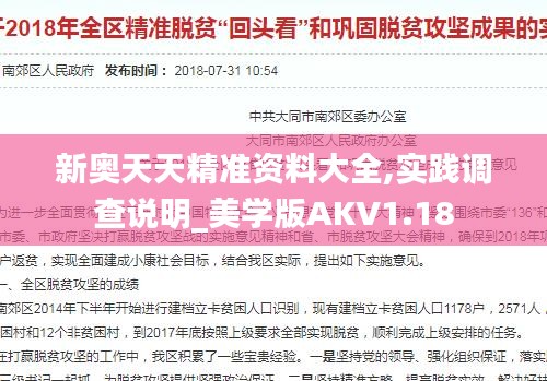 新奥天天精准资料大全,实践调查说明_美学版AKV1.18