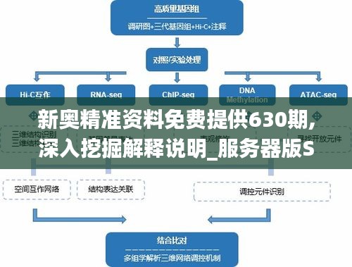 新奥精准资料免费提供630期,深入挖掘解释说明_服务器版SFE1.72