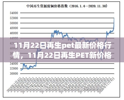 11月22日再生PET价格行情变化，铸就自信与成就之路