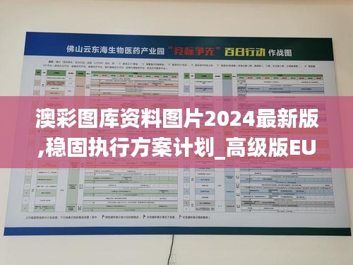 澳彩图库资料图片2024最新版,稳固执行方案计划_高级版EUO1.21