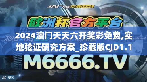 2024澳门天天六开奖彩免费,实地验证研究方案_珍藏版CJD1.10