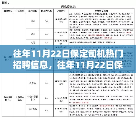 往年11月22日保定司机热门招聘信息详解与评测报告