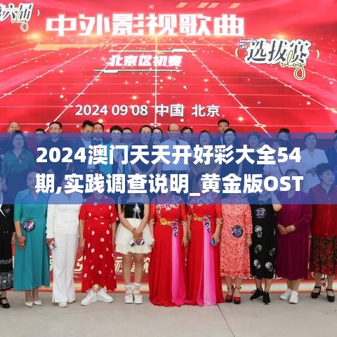 2024澳门天天开好彩大全54期,实践调查说明_黄金版OST1.91