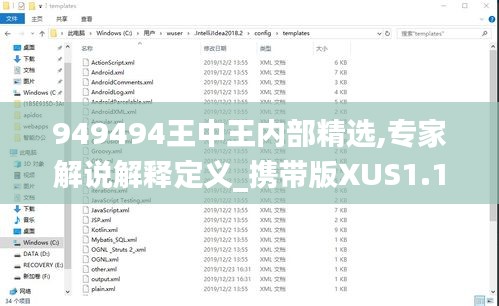 949494王中王内部精选,专家解说解释定义_携带版XUS1.13