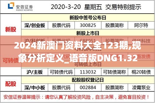 2024新澳门资料大全123期,现象分析定义_语音版DNG1.32