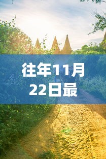 绿色探险之旅，寻找内心平静的马树探险之旅