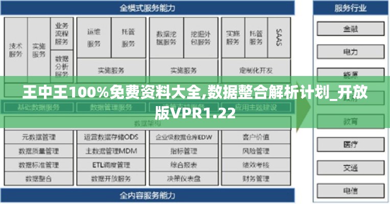 王中王100%免费资料大全,数据整合解析计划_开放版VPR1.22