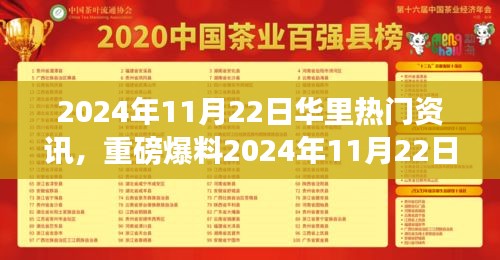 独家揭秘，华里热点新闻大爆料，掌握最新资讯尽在掌握