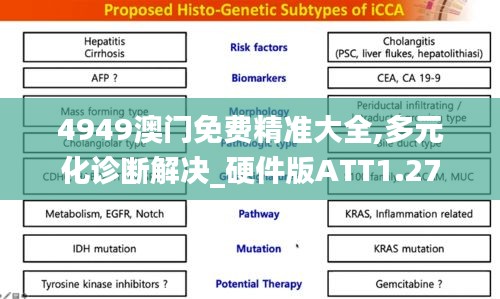 4949澳门免费精准大全,多元化诊断解决_硬件版ATT1.27