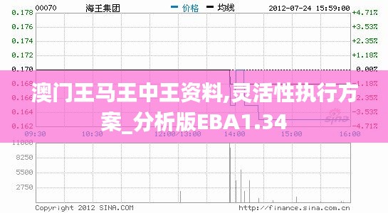 澳门王马王中王资料,灵活性执行方案_分析版EBA1.34