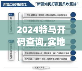 2024特马开码查询,实地观察数据设计_适中版YSI1.92