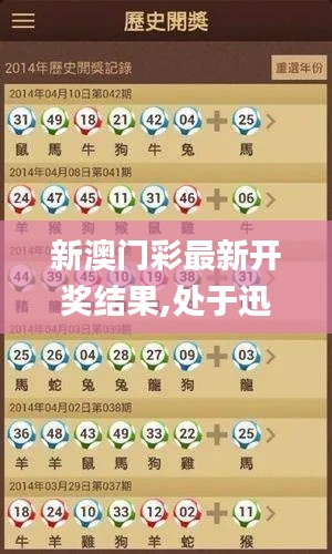 新澳门彩最新开奖结果,处于迅速响应执行_多元文化版DIO1.62