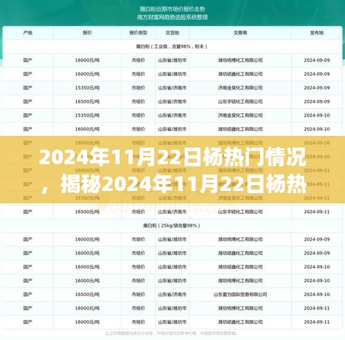 揭秘杨热门现象，深度解读背后的趋势与影响（2024年11月22日）