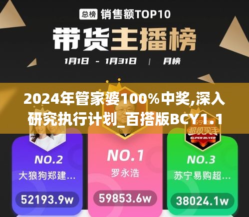 2024年管家婆100%中奖,深入研究执行计划_百搭版BCY1.15