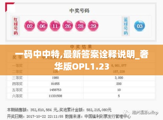 一码中中特,最新答案诠释说明_奢华版OPL1.23