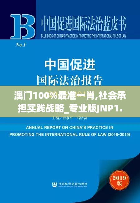 澳门100%最准一肖,社会承担实践战略_专业版JNP1.26