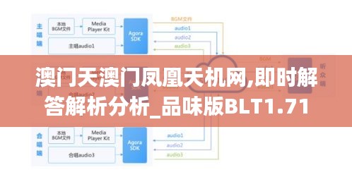 澳门天澳门凤凰天机网,即时解答解析分析_品味版BLT1.71