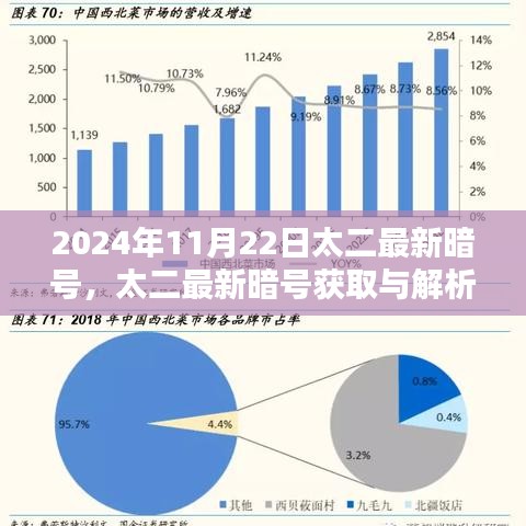 太二最新暗号解析与获取指南，初学者进阶全攻略（2024年11月版）