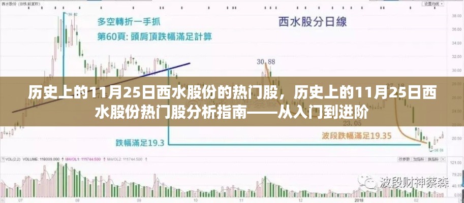 历史上的11月25日西水股份热门股深度解析，从入门到进阶指南