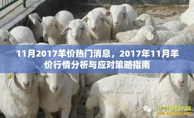 11月2017羊价热门消息，2017年11月羊价行情分析与应对策略指南