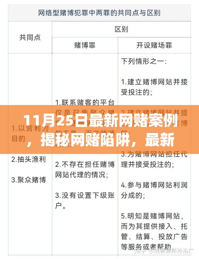 揭秘网赌陷阱，最新案例剖析、危害与应对之策警示启示