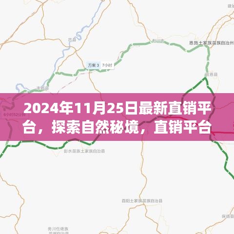 探索自然秘境的心灵之旅，最新直销平台指南（2024年11月版）