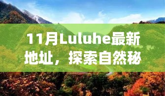 揭秘十一月Luluhe新地址，自然秘境探索之旅，寻找内心宁静与平和