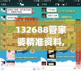 132688管家婆精准资料,全面实施策略设计_图形版DVZ16.9