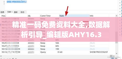 精准一码免费资料大全,数据解析引导_编辑版AHY16.3