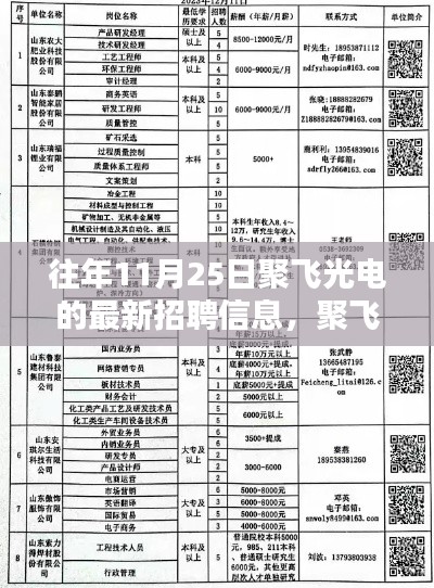 历年11月25日聚飞光电招聘信息回顾与展望