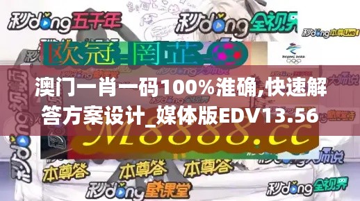 澳门一肖一码100%淮确,快速解答方案设计_媒体版EDV13.56